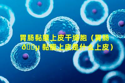 胃肠黏膜上皮干细胞（胃肠 🌵 黏膜上皮是什么上皮）